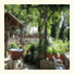 Guesthouse Dimou: fotografie