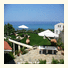 Palmina Mare