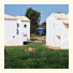 Kleopatra Villas - Seaside Suites: fotografie