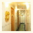 New China Yan Yan Guesthouse: fotografie