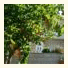 Apartments Dubrovnik Cavtat: fotografie
