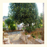 Guest House Redzic: fotografie