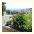 Guesthouse Petrusic: fotografie