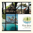 Pine Beach Pakostane - All Inclusive: fotografie