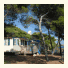 Camping Stoja