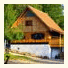 Linden Tree Retreat & Ranch