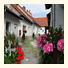 Hungaria Apartments: fotografie