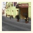 Palatinus Hotel: fotografie