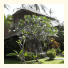 Coral View Villas: fotografie