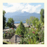 Sunrise Resort: fotografie