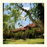 Dhyana Pura Beach Resort: fotografie