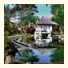 Mimosa Resort & Spa, Jimbaran: fotografie