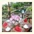 Tirta Ayu Hotel and Restaurant: fotografie