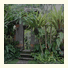 Alas Petulu Cottages: fotografie
