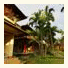 Kertiyasa Bungalow: fotografie
