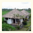 Terang Bulan Cottages: fotografie