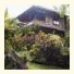 Tiing Gading Bungalows Ubud: fotografie