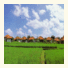 Villa Chempaka: fotografie