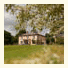 The Mustard Seed: fotografie