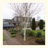 Westwood Country House: fotografie