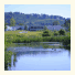 Tulfarris Hotel and Golf Resort