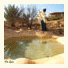 Carmey Avdat Farm