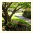 Kibbutz Mizra Country Lodging