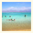 Aloni Neve Zohar Dead Sea