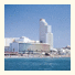 King David Luxury Suites: fotografie