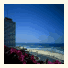 Sheraton Tel Aviv Hotel & Towers: fotografie