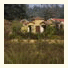 The Wildflower Resort