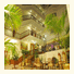 Hotel Bangalore International