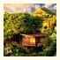 The Tree House Resort
