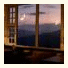 The Nettle and Fern Hotel: fotografie