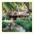 Kairali Ayurvedic Health Resort: fotografie