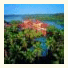 Kadavu Resorts & Ayurveda Center