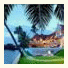 Lemon Tree Vembanad Lake Resort: fotografie