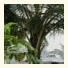 Dolphin Beach Resort