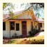 Jungle Bungalows