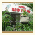 Hotel Red Palms: fotografie