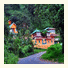 Bellavista Resort Munnar