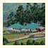 Green Jungle Holyday Resort: fotografie
