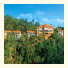 Thekkady Wild Corridor