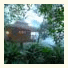 Vanya Tree House