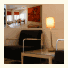The White Swan: fotografie