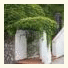 Villa Larissa Amalfi Coast: fotografie