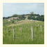 Agriturismo San Cristoforo