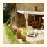B&B Casale Il Tiglio: fotografie
