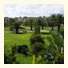 Arenella Resort: fotografie