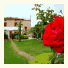 Il Roseto: fotografie